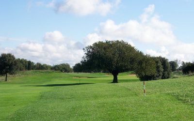Prato arieggiato: bellezza assicurata