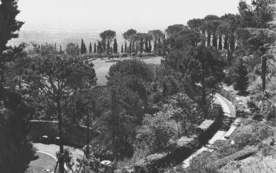 Città sostenibili (con biodiversità)