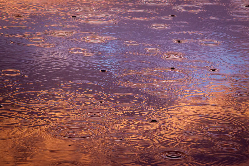 lvn-raindrops-Free-Photos-free