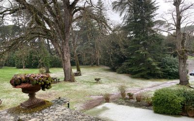 Giardino in autunno: checklist completa per la cura