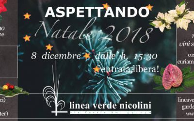 Aspettando Natale 2018!