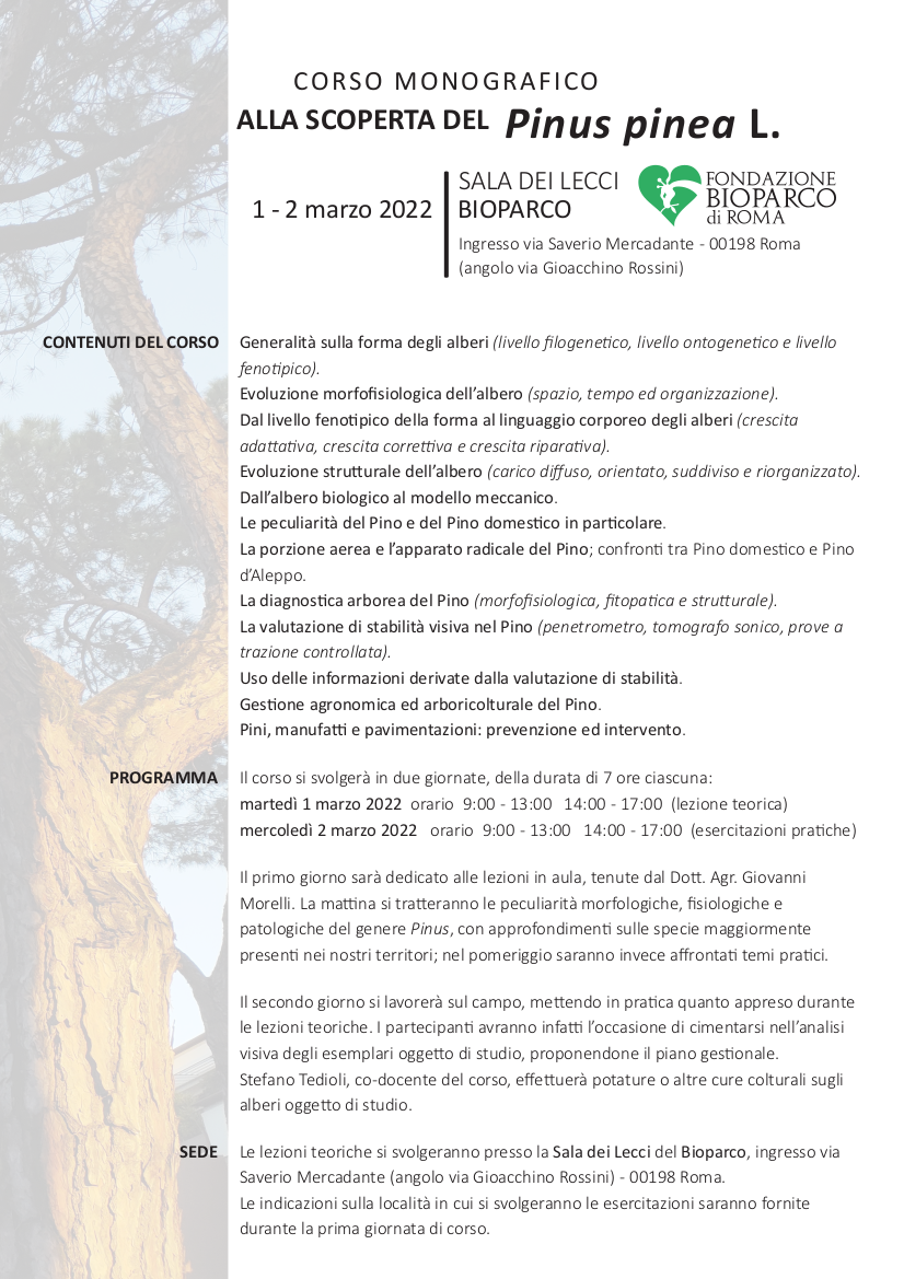 locandina_versione estesa 08 02 22 (2)-1