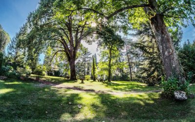 Creare rete per il paesaggio