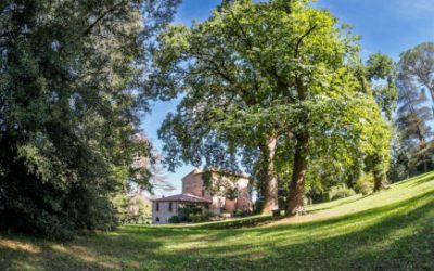 Perché ALBERI in festa?