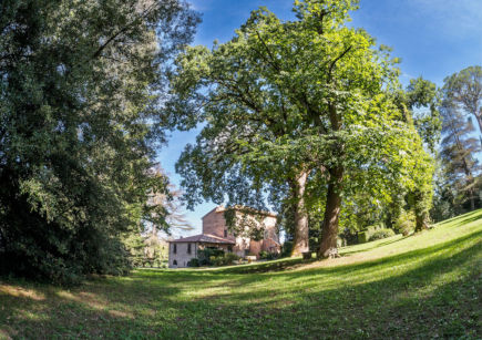 Perché ALBERI in festa?