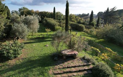 La Galilea: scopri gli angoli del nostro grande giardino di campagna