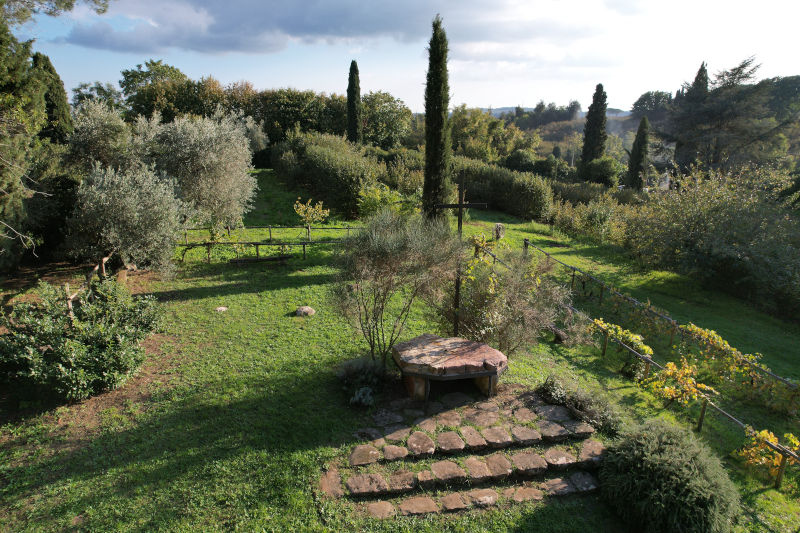 La poesia di I AM A TREE