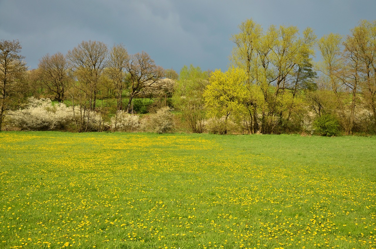 lvn-prato-aprile-free-congerdesign-spring-meadow-g432d4ad7b_1280