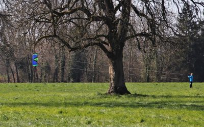 Nutrire il tappeto verde autunnale (capitolo 2)