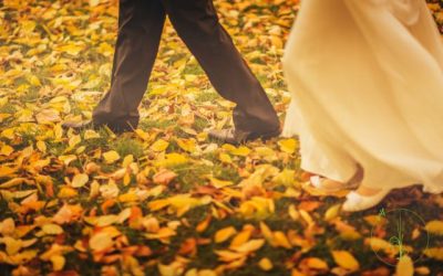 Nutrire il tappeto verde autunnale (capitolo 1)