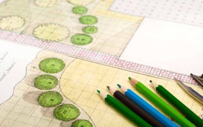Architetto paesaggista: un focus sull’esperto di progettazione del verde