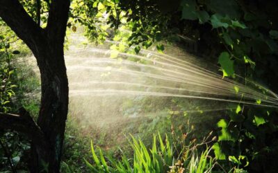 Acqua: bene prezioso
