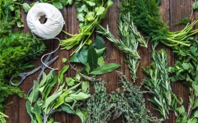 Come conservare le erbe aromatiche: i segreti del mestiere