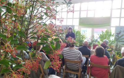 I fiori da piantare in ottobre e i lavori in giardino da fare