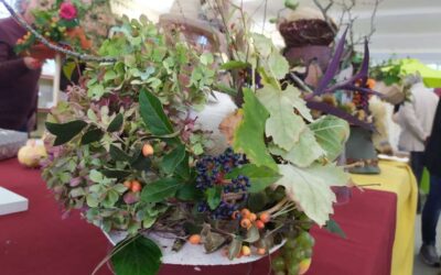Frutta di autunno: i migliori 10 frutti autunnali da riscoprire