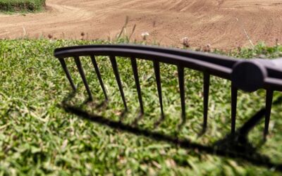 Consigli per pulizia e manutenzione degli attrezzi da giardino