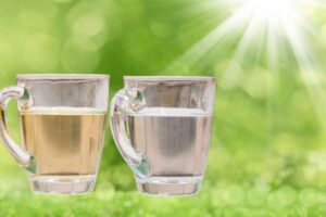 Aceto acqua formiche rimedio naturale Bicchieri di aceto e acqua sullo sfondo di un prato, utilizzati per allontanare le formiche naturalmente