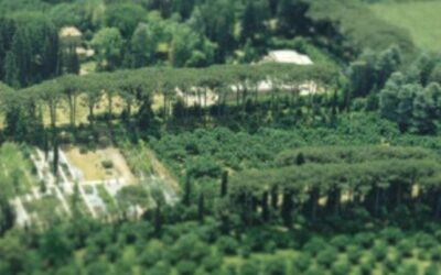 I nostri alberi: piccola passeggiata botanica