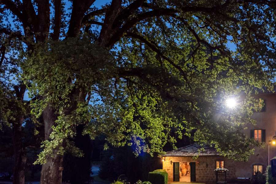 La Quercia Alleluja – Notturno La grande Quercia Alleluja illuminata di notte, con la casa sullo sfondo