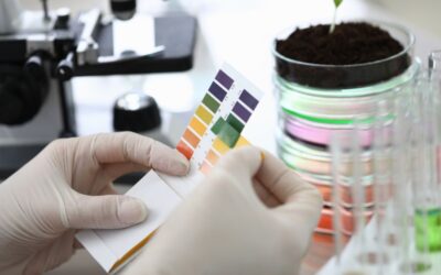 Come misurare il pH del terreno e la sua acidità per correggerlo
