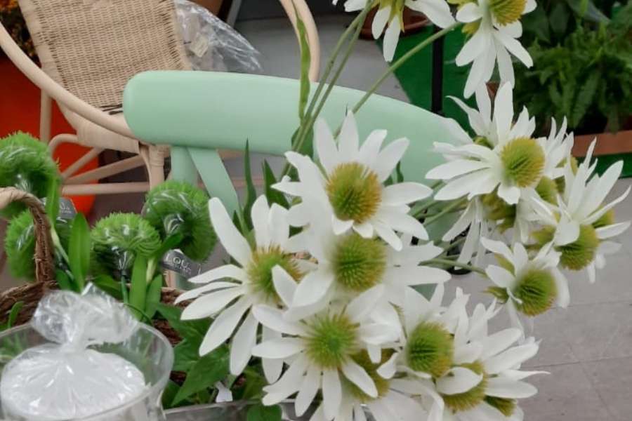 Fioriture stagionali, idee regalo e dettagli dell’angolo enoteca&goloserie nel garden shop LVN