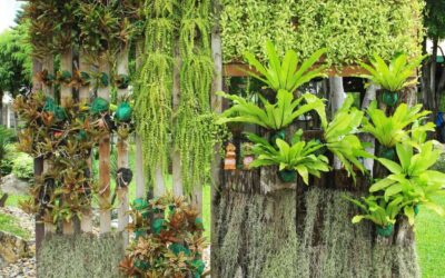 Giardino verticale fai da te: perché e come realizzarlo facilmente
