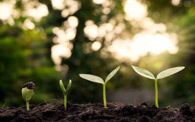 La Giornata della Terra, vista da noi. Tra le righe di una pubblicazione speciale
