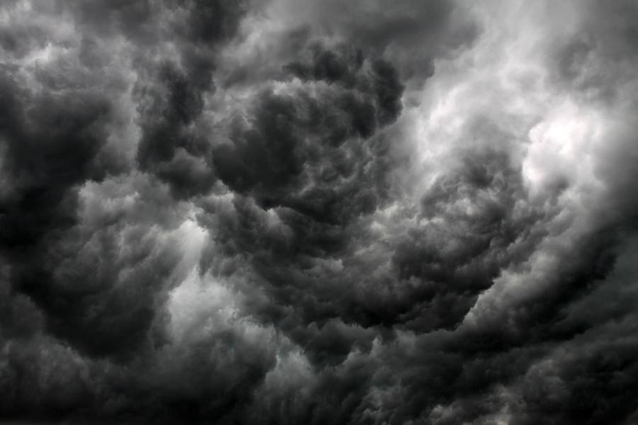 Come proteggere le piante dai temporali estivi improvvisi