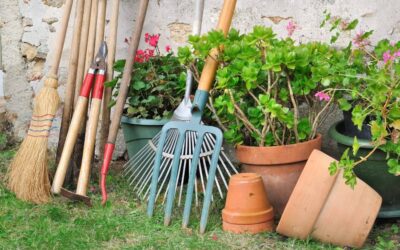 Progettare un giardino a bassa manutenzione: i migliori consigli