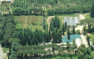 La vetrina stagionale sulla via Cassia: un accesso al paesaggio, tra visioni e concretezza