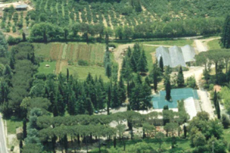 La vetrina stagionale sulla via Cassia: un accesso al paesaggio, tra visioni e concretezza