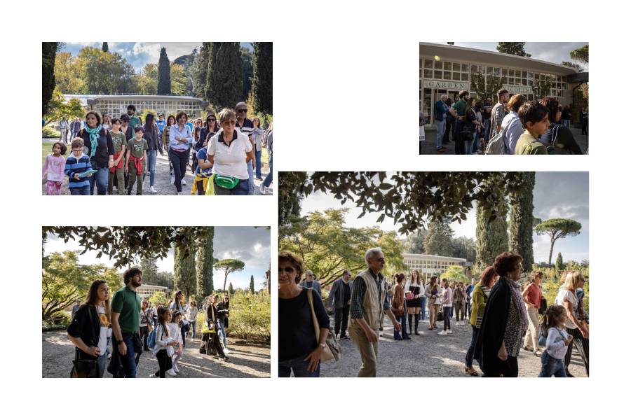Fiori viola di Campanula in primo piano