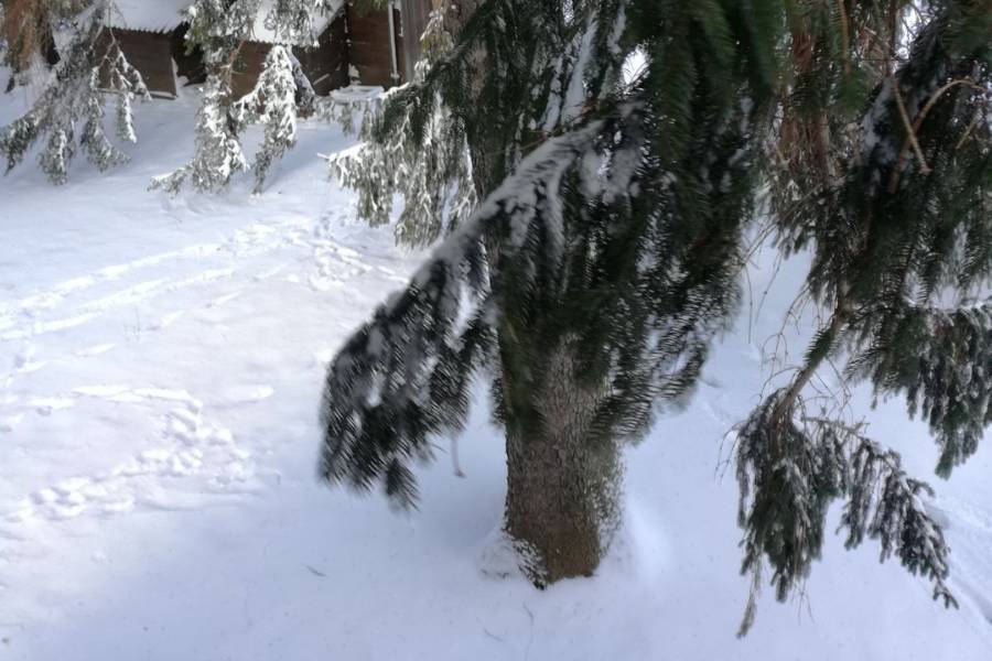 Controllare il terreno prima della stagione invernale