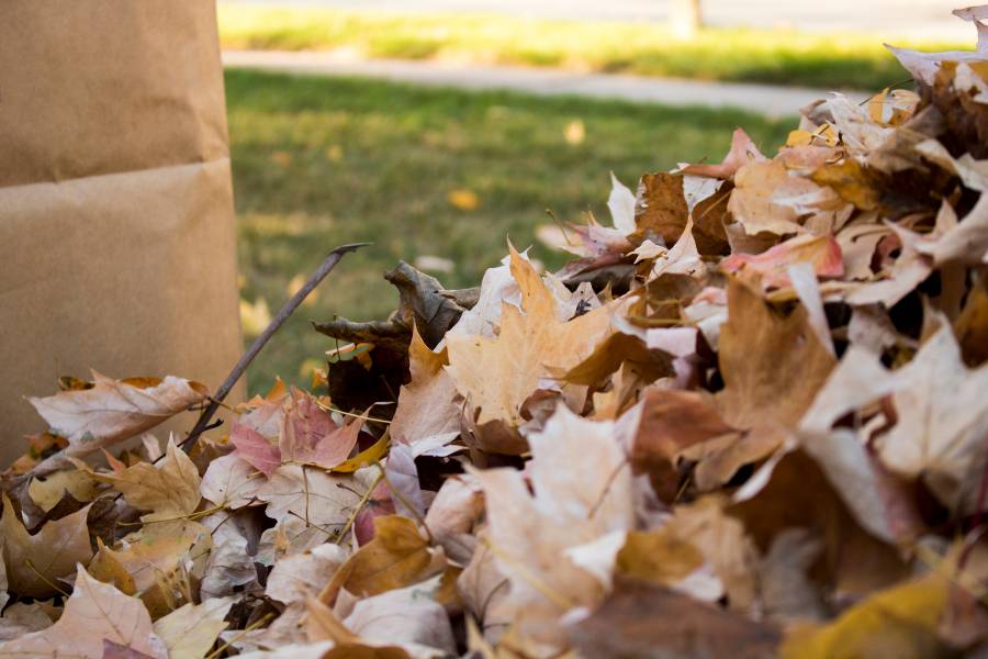 Pulizia del giardino dalle foglie secche Foglie secche raccolte in un giardino durante l’autunno