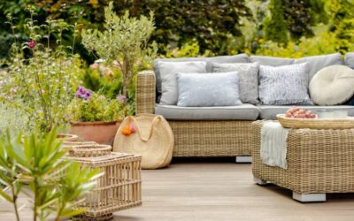 Piante alte da terrazzo: le migliori e più adatte da scegliere