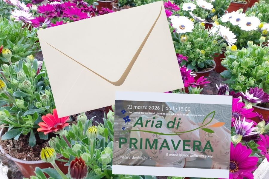 Aria di PRIMAVERA: cosa succede a La Trinità