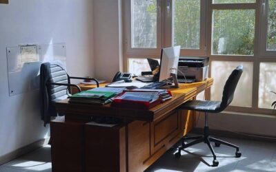 L’area amministrativa di Linea Verde Nicolini: persone, memoria e lavoro quotidiano