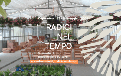 RADICI NEL TEMPO 2026: due giornate di paesaggio, cultura e incontro a La Trinità