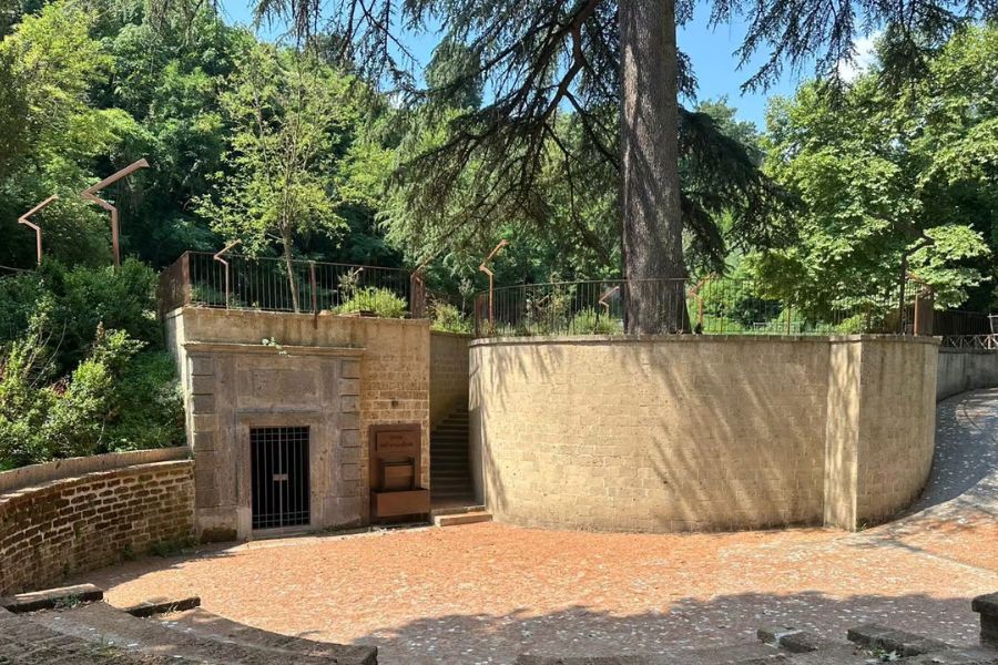 L’Albero della Vita a Capranica: radici che restano, rami che continuano