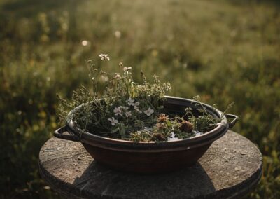 acqua di San Giovanni con fiori ed erbe spontanee