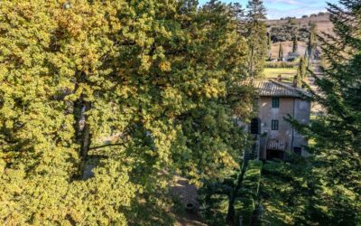 Dietro la nostra home: una mappa di relazioni, lavoro e paesaggio