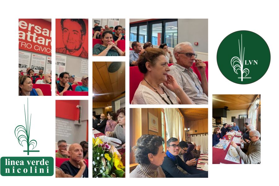 Collage di fotografie della giornata di formazione sul Modello 231, con momenti di confronto, partecipazione e condivisione tra collaboratori di Linea Verde Nicolini.