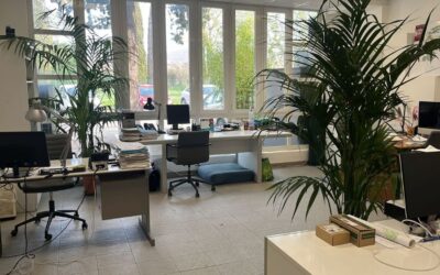 Prendersi cura di chi si prende cura: persone, salute e lavoro in Linea Verde Nicolini