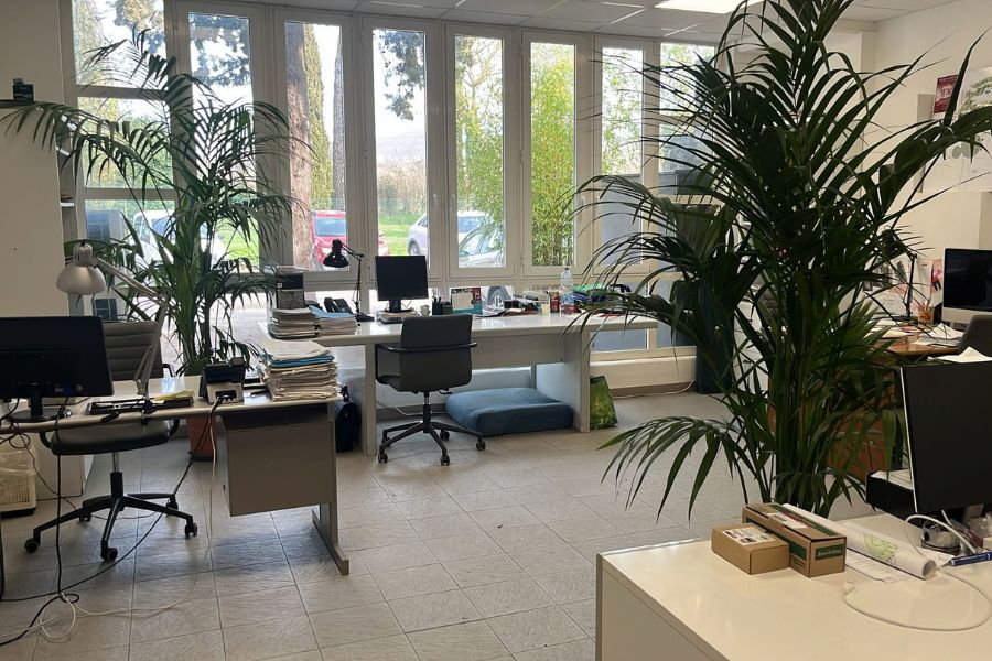 uffici di linea verde nicolini con postazioni di lavoro luminose e piante da interno, esempio di ambiente dedicato al benessere organizzativo