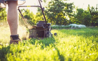Arieggiare il prato a Settembre: perché farlo salva il tuo giardino