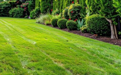 Lombrichi nel prato: come eliminarli (con rimedi naturali) e gestire i danni