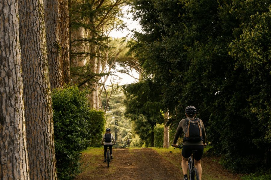 ciclisti lungo il viale alberato de la trinità, elaborazione ai da foto d'archivio
