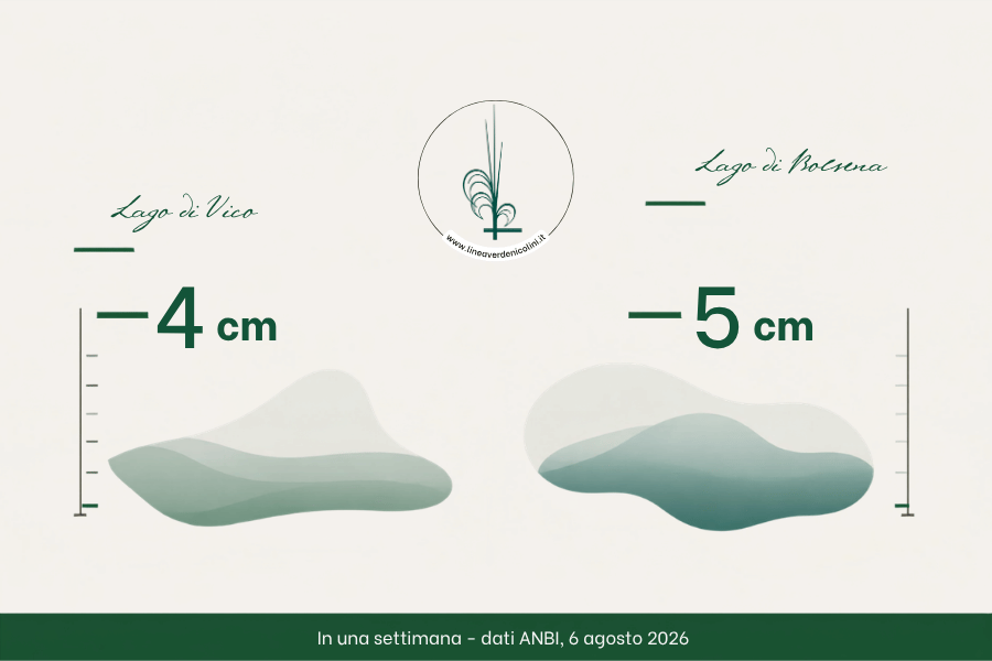 grafica anbi: in una settimana il lago di vico perde 4 centimetri e il lago di bolsena 5 centimetri
