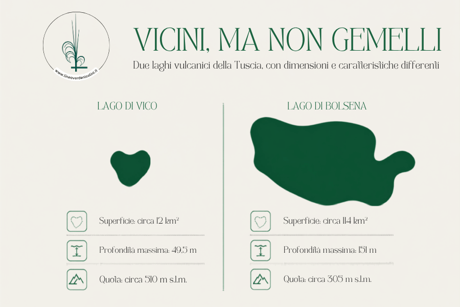 confronto tra lago d vico e lago di bolsena per superficie, profondità massima e quota