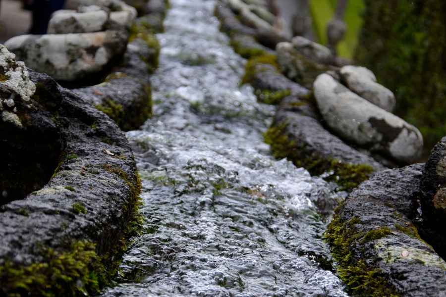 acqua che scorre lungo il canale in pietra della catena d’acqua di villa lante, tra elementi scolpiti e muschio